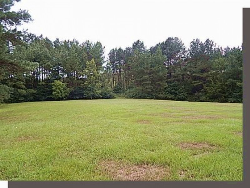 100 Acres W/ Brick Home in Smith Co : Louin : Smith County : Mississippi