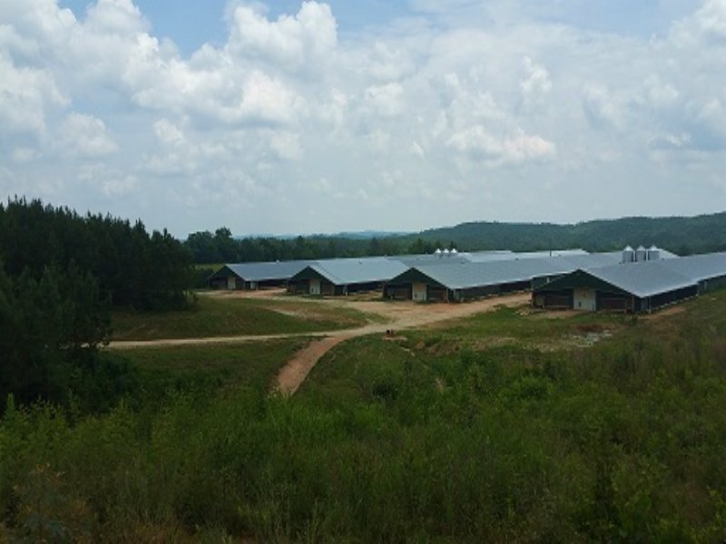 4 Mega House Poultry Farm 35+/ Ac, Farm for Sale in Alabama, 114495