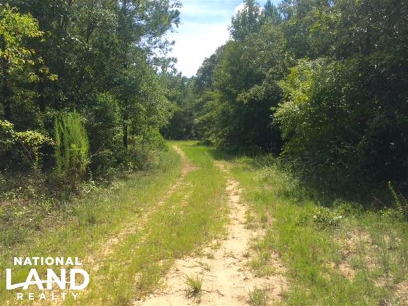Hunting and Timber Tract with House : Rupert : Schley County : Georgia