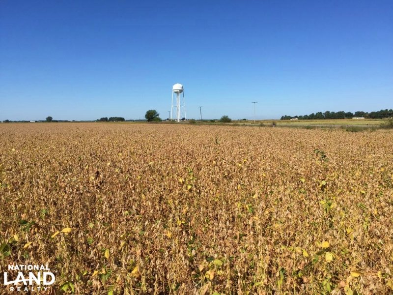 80+/ Acre Rice & Duck Hunting Farm, Farm for Sale in Arkansas, 114681