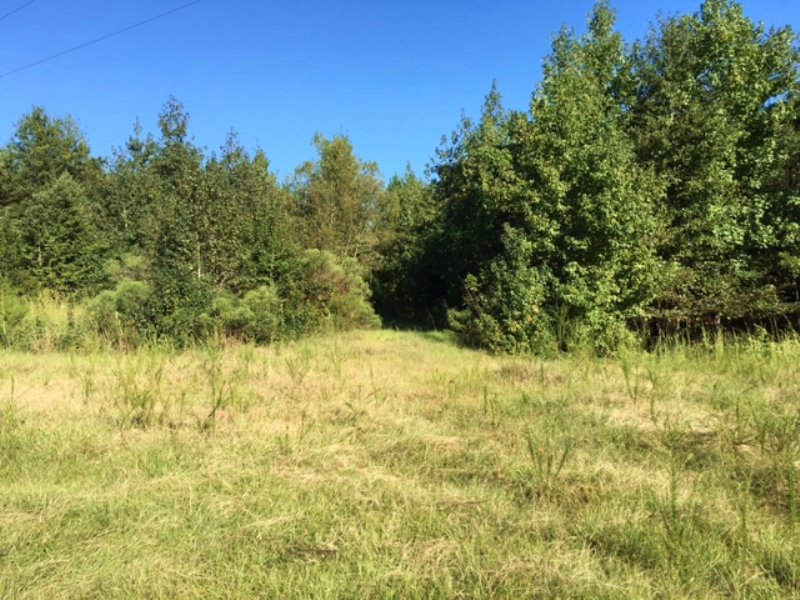 20± Acres : New Augusta : Perry County : Mississippi