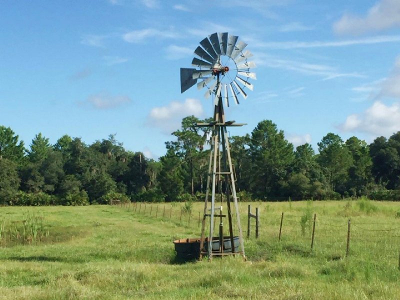 Marston Ranch in Fort Meade : Fort Meade : Polk County : Florida