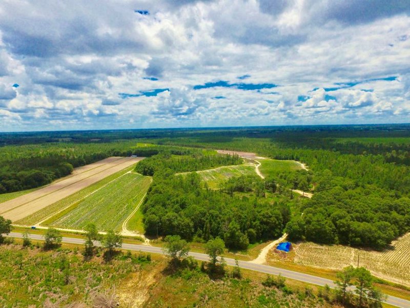 225 Acres Versatile Farm, Farm for Sale in 114835 FARMFLIP