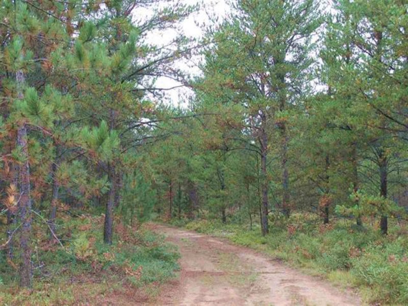 39 Acres Co Rd 581 : Ishpeming : Marquette County : Michigan