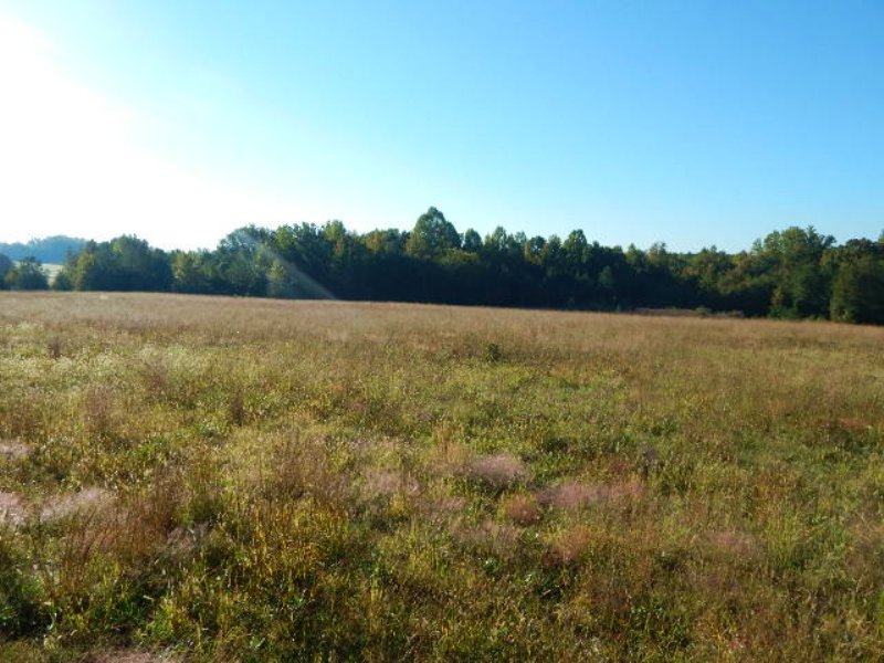 Small Farm in Jonesville, SC, Farm for Sale in South Carolina, 115366