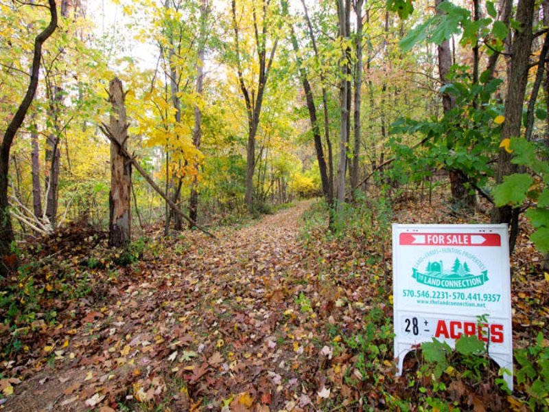 28 +/ Acres Land in Bloomsburg, Farm for Sale in Pennsylvania, 115552