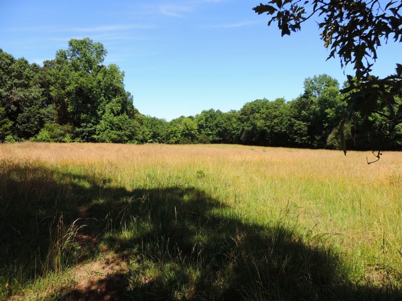 The Gentleman's Farm Tract Farm for Sale in Waverly Hall, Harris