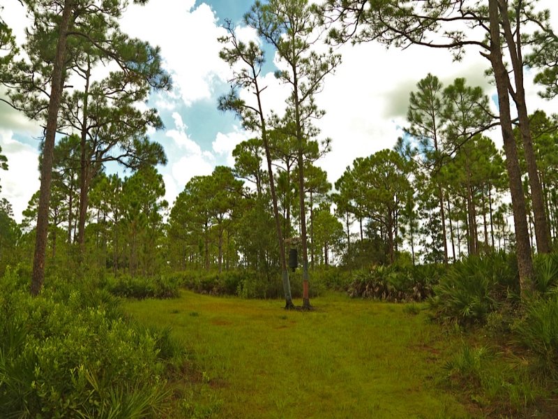 Hunter's Paradise : Okeechobee : Okeechobee County : Florida