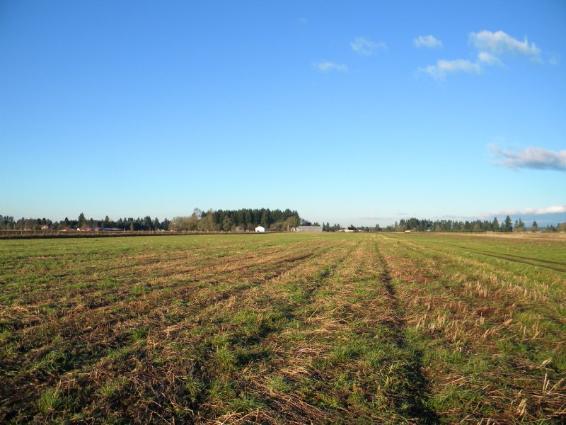 217 Acres Level Farmland, Farm for Sale in Washington, 115661 FARMFLIP