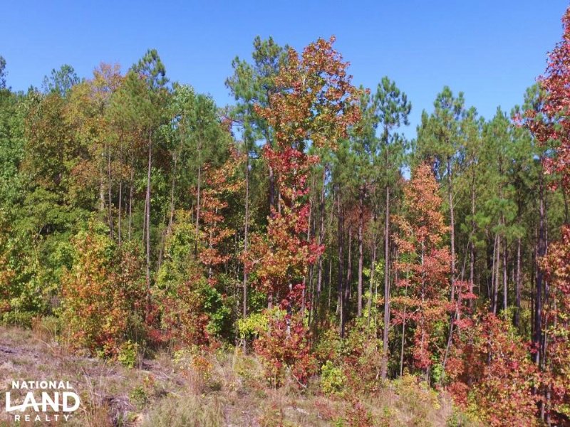 Lake Strom Thurmond Recreational An Farm for Sale in Mccormick