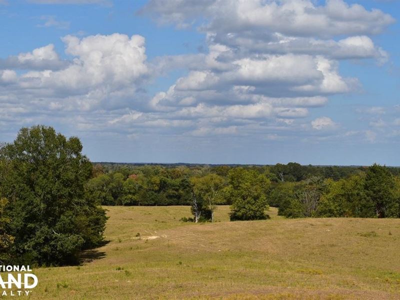 Jones Creek Cattle Farm, Farm for Sale in Alabama, 115940 FARMFLIP