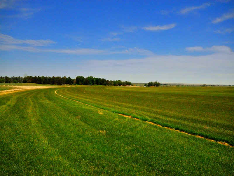 Big Valley Farm and Water Rights, Farm for Sale in Colorado, 115983
