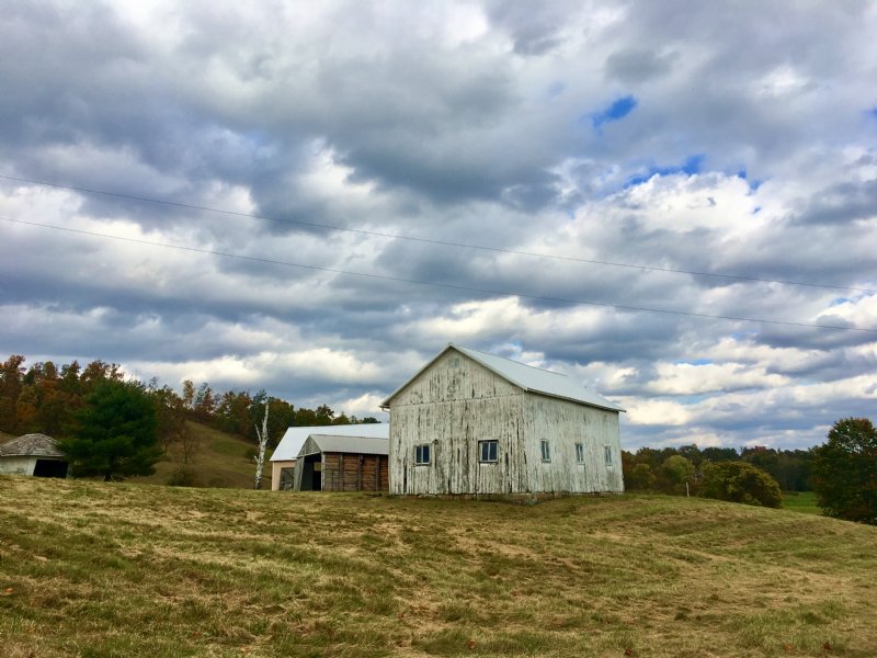 Absolute Guernsey Co. Real Estate A, Farm Auction in Ohio, 115998