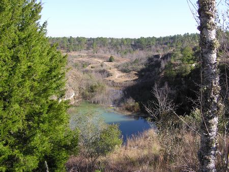 68 Acre Rock Quarry Hunting Land : Camilla : Mitchell County : Georgia