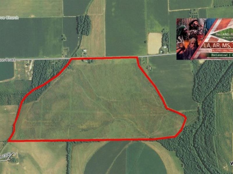 244 Ac, Wrp Tract for Deer : Rayville : Richland Parish : Louisiana