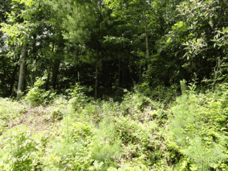 Vacant Acreage in Burnsville, North, Farm for Sale by Owner in North