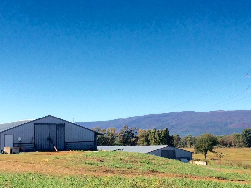 34+/ Acre Poultry & Cattle Farm, Farm for Sale in Arkansas, 116349