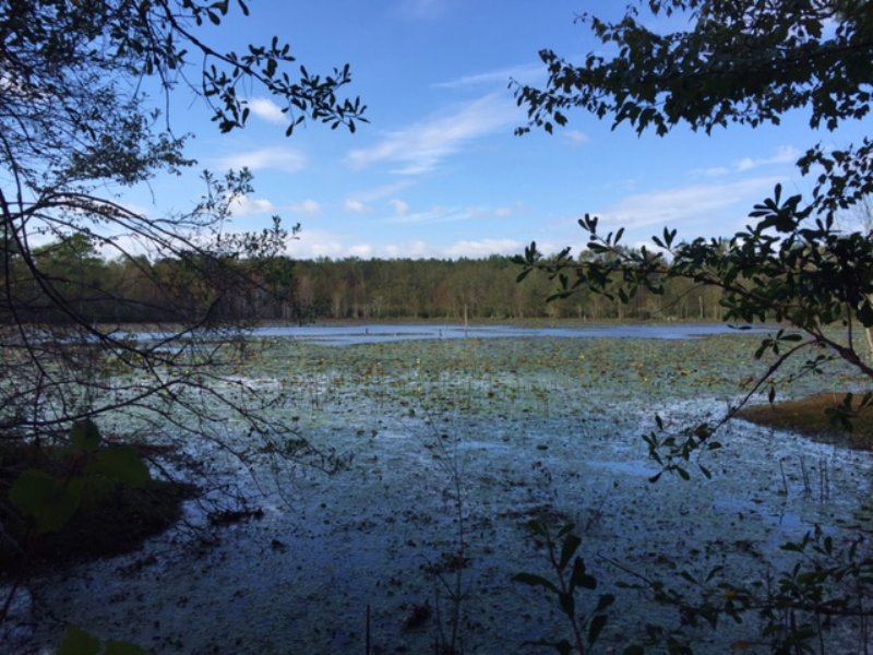 Spring Fed 8 Acre Lake, Farm for Sale in 116383 FARMFLIP