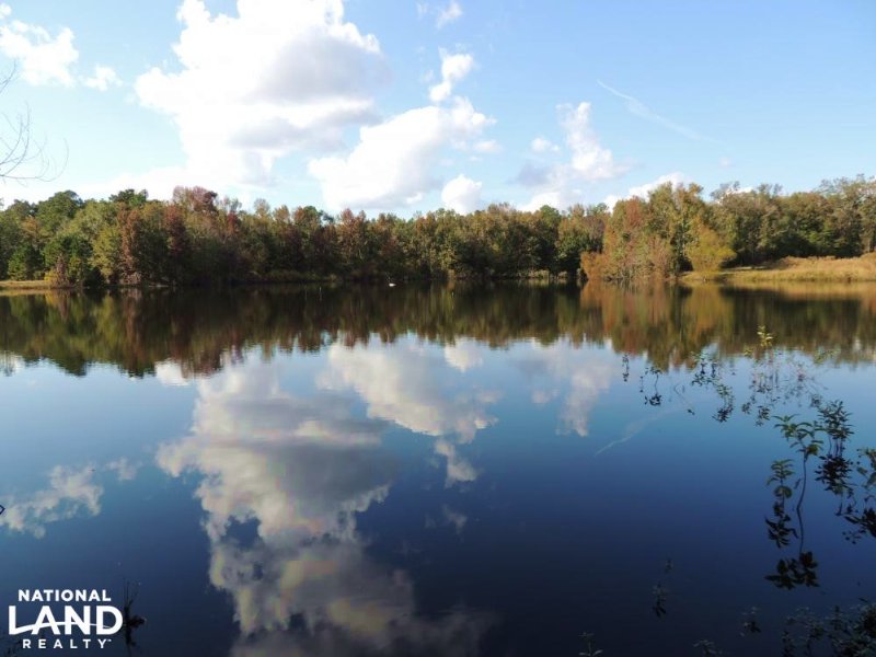 Little Salkehatchie River Hunting, Farm for Sale in South Carolina