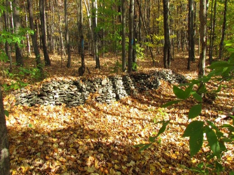 118 Acres Timberland Cooperstown, Farm for Sale in New York, 116426