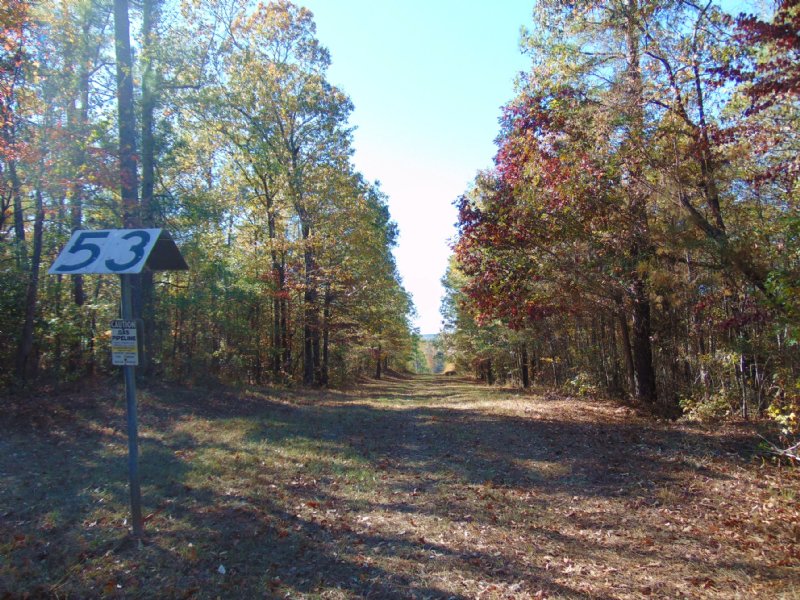 Bullard Hills North Tract A : Jeffersonville : Twiggs County : Georgia