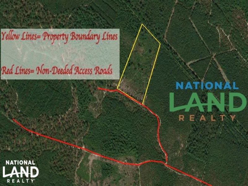 Currie Hunting Land Farm for Sale in Currie, Pender County, North