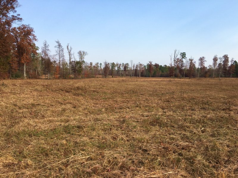 30 Acres - Pasture - Creek : Odenville : Jefferson County : Alabama