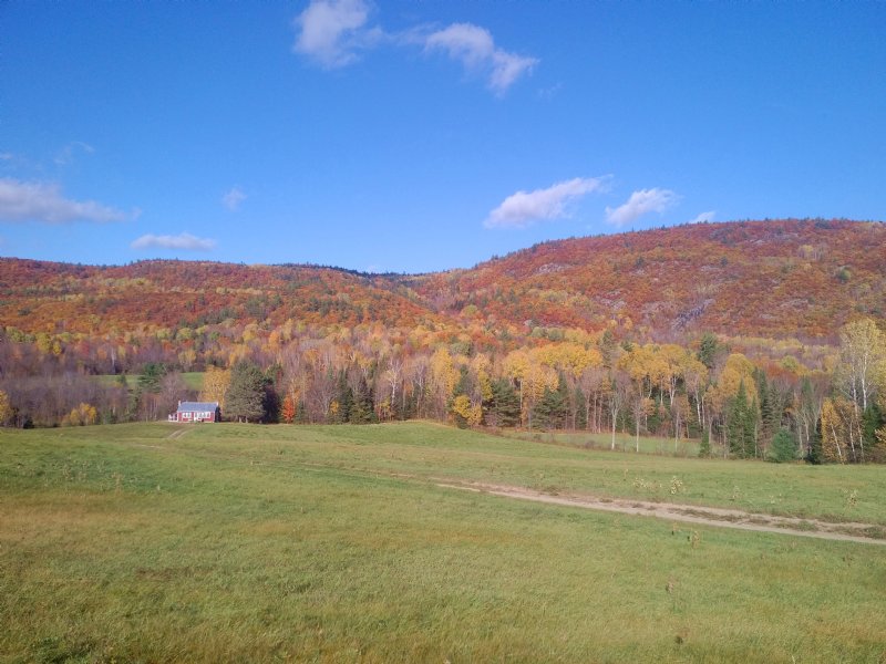 300 Acres Farm, Wood, Mountain Land, Farm for Sale by Owner in Canada