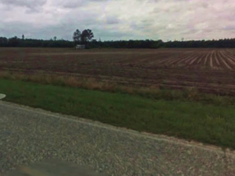 70 Acres Farm for Sale in Alma, Bacon County, 117091