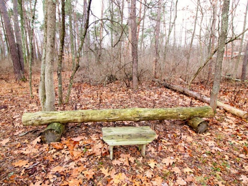 6.8 Acres Land in Muncy, Farm for Sale in Pennsylvania, 117126 FARMFLIP