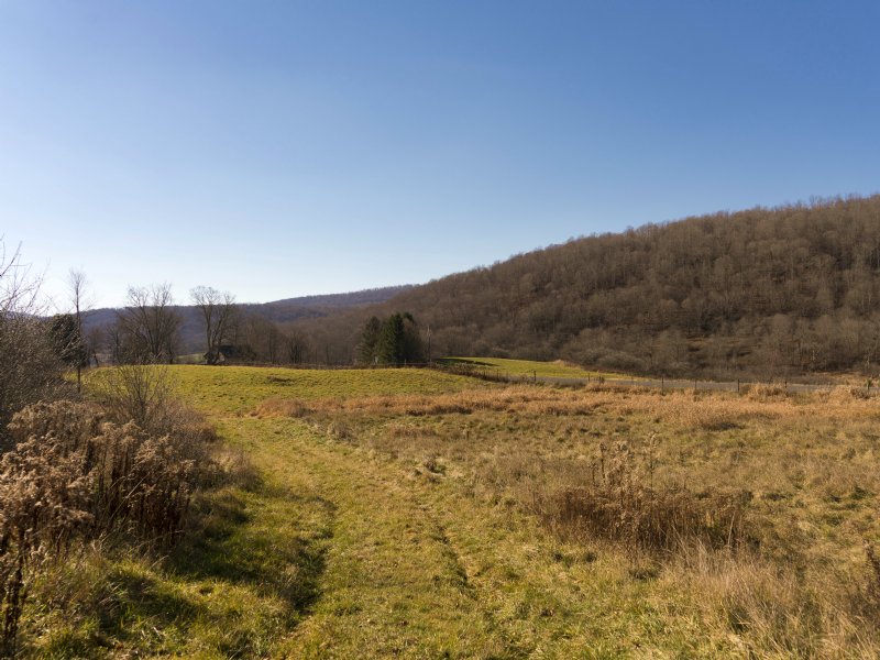 Catskill Mtn Farmland Liquidation, Farm for Sale by Owner in New York