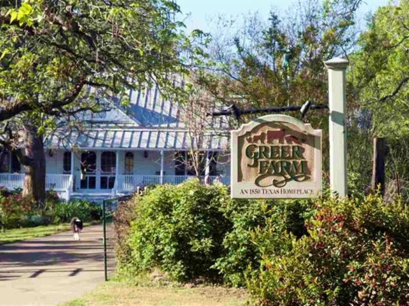 Greer Farm, 252 Acres / 30546 : Daingerfield : Morris County : Texas
