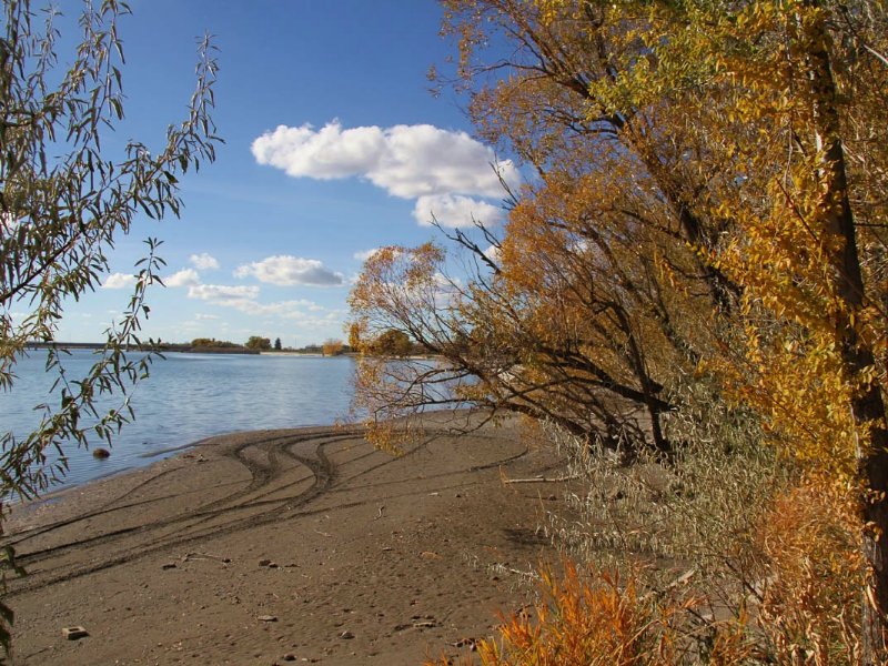 Snake River Frontage Farm for Sale in Burley, Minidoka County, Idaho