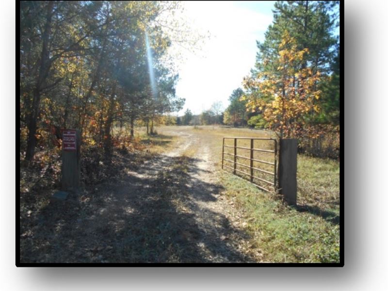 136.6 Acres in Lafayette County : Oxford : Lafayette County : Mississippi