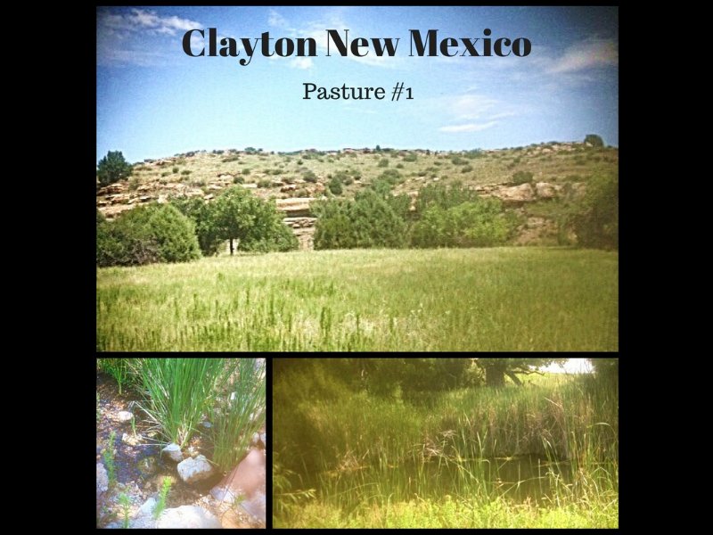 Jordan Ranch : Clayton : Union County : New Mexico