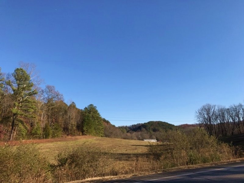 113.59 +/ Acres, Bank Owned Farm for Sale in Fairmount, Gordon