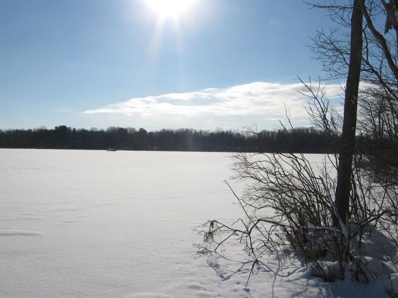 homes for sale cayuga county ny
