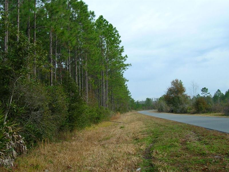 Crosby Lake Parcel 2, Farm for Sale by Owner in Florida, 117848 FARMFLIP