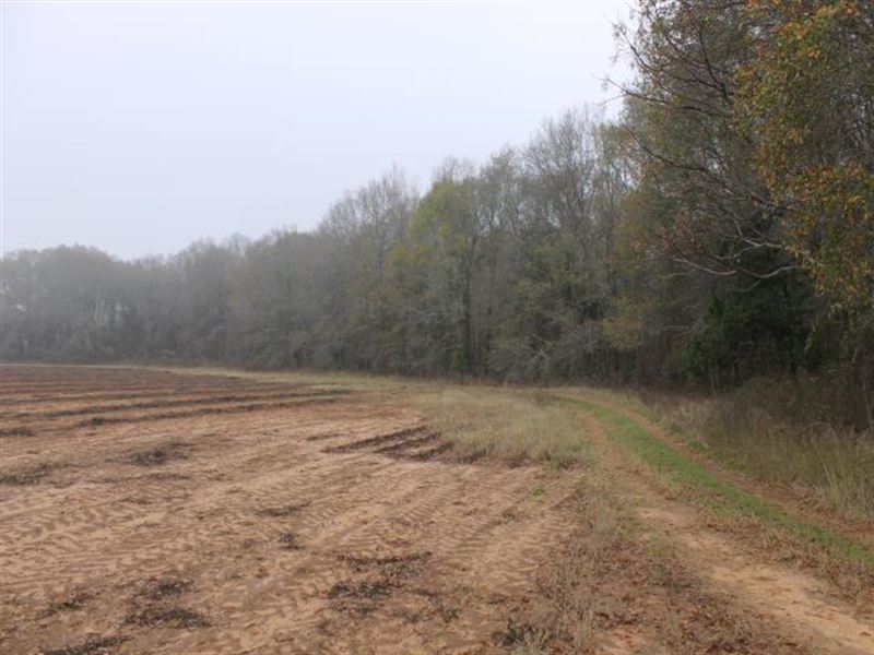35 Acres Sumter County, Ga, Farm for Sale in 117859 FARMFLIP