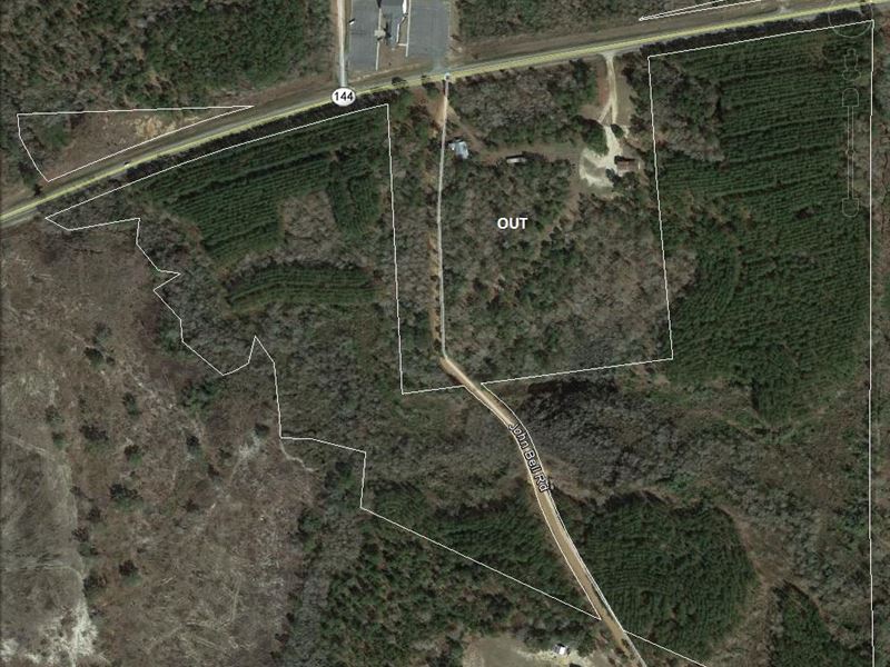 55 Acre Timber Investment Property : Baxley : Appling County : Georgia