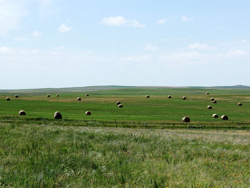 Glad Valley Farm & Ranch, Farm for Sale in South Dakota, 117948 FARMFLIP