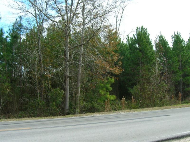 Tall Pines Parcel 10 : Starke : Bradford County : Florida