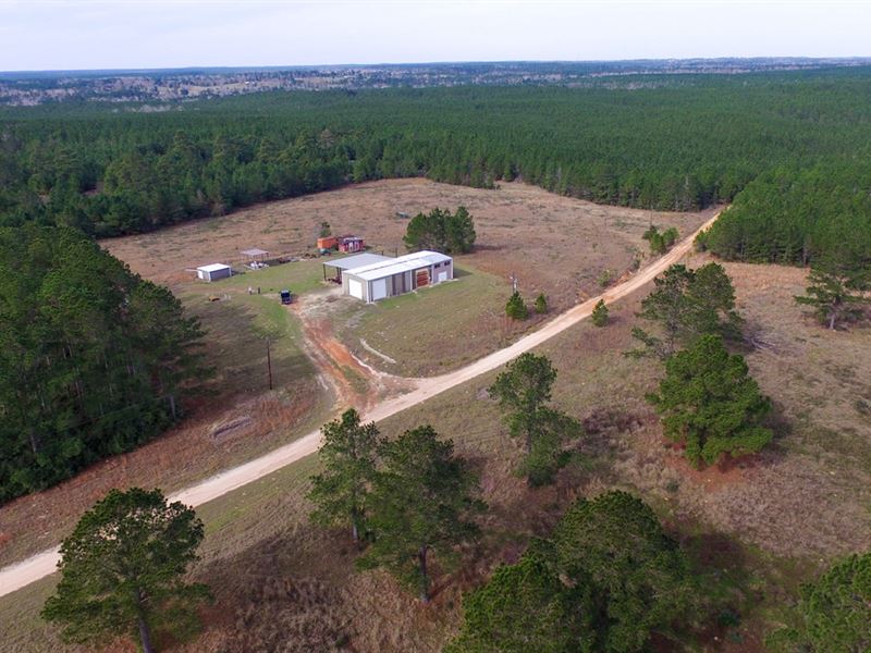 536 Acres Of Woodville Timber, Farm for Sale in Texas, 118844 FARMFLIP