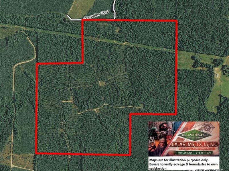286 Ac - Pine Plantation & Hunt : Pine Bluff : Jefferson County : Arkansas