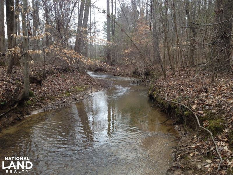 Camp Creek Recreational Property : Green Pond : Bibb County : Alabama