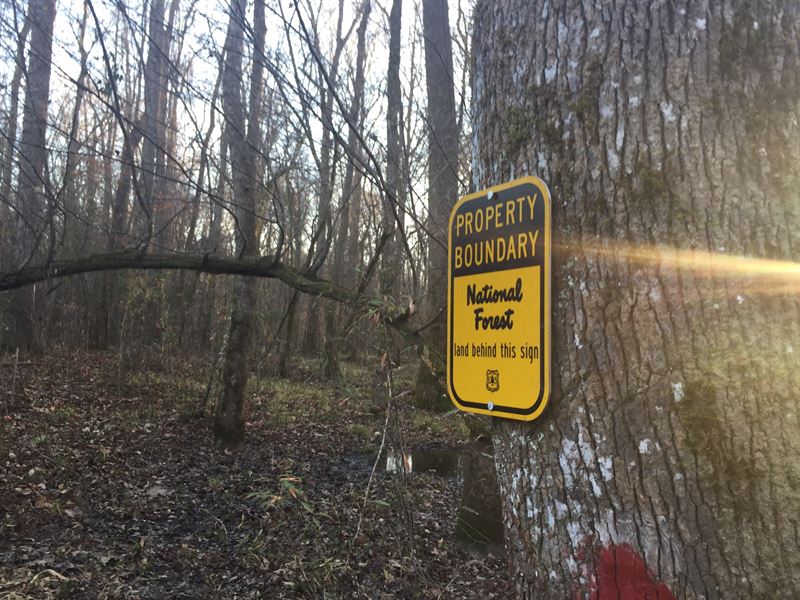 108+/- Ac Adjoins National Forest : Roxie : Franklin County : Mississippi