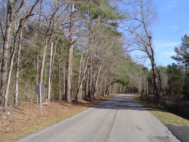 Coolers Dairy Tract : Walterboro : Colleton County : South Carolina