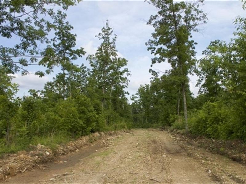 Missouri, Shannon County, 5.3 Acre : Birch Tree : Shannon County : Missouri