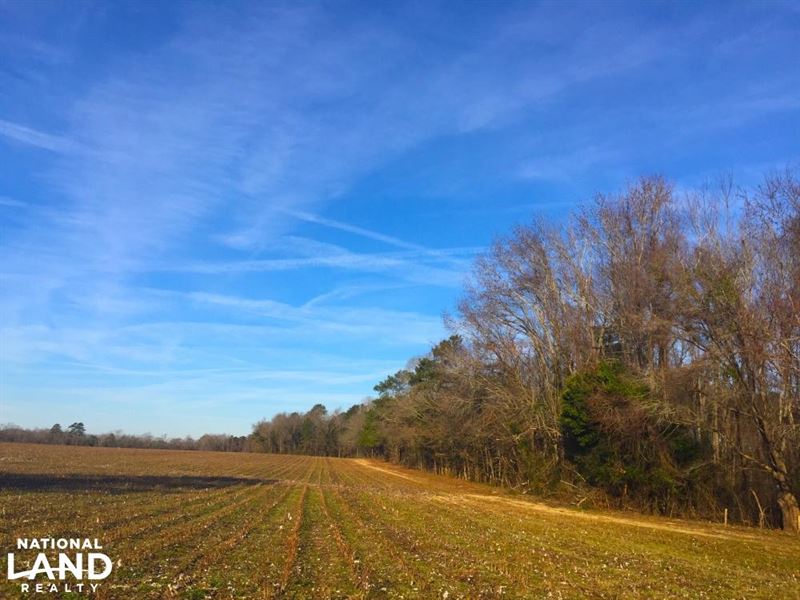 Lamar Recreational and Tillable Far, Farm for Sale in South Carolina