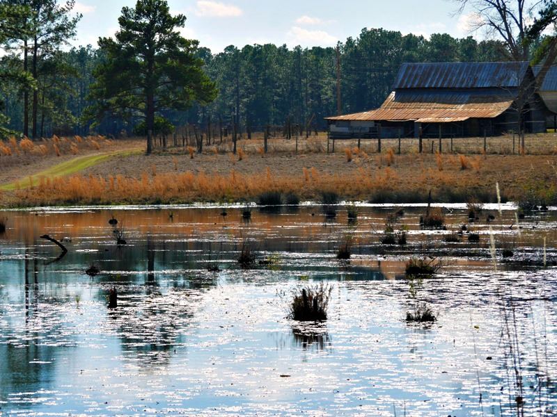 Quail Hill Farm, Farm for Sale in 119747 FARMFLIP